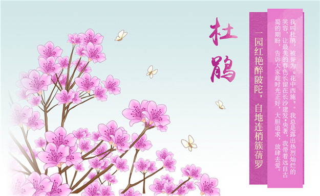 pa旗舰厅(中国区)官方网站-PlayAce
